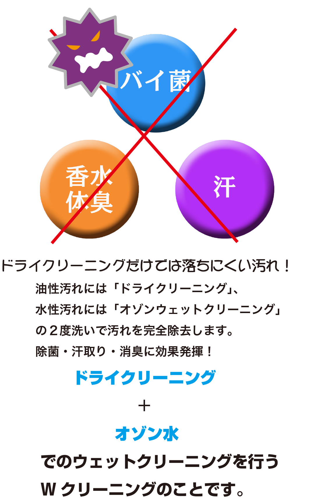 オゾンウエット加工画像